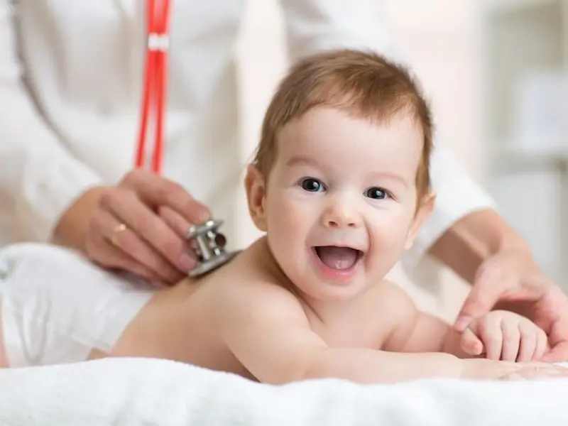 DSA terbaik di Surabaya